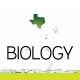 Online Textbook